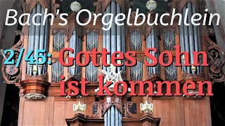 JS Bachs quotGottes Sohn ist kommenquot BWV 600 with English translation [upl. by Nuyh]