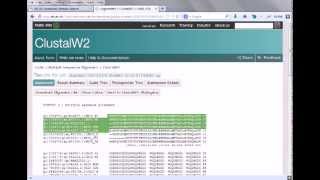 Bioinformatics practical 4 multiple sequence alignment using ClustalW [upl. by Jessamine]