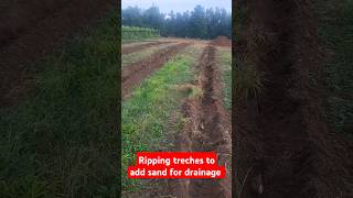 Adding sand for drainage in the vineyard vineyard tractor drainage [upl. by Terbecki]