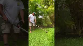 Slashing Grass with my Line Trimmer grass lawn stihl [upl. by Haidadej]