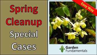 Spring Cleanup  Plants That Need Special Care [upl. by Kcirdehs]