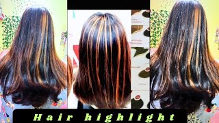 Streaks Hair Colour Highlight 2024  streaks Highlight Kaise Karen [upl. by Biddie780]