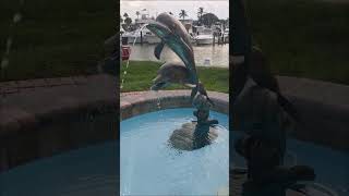 🐬 The Dolphin Fountain 🐬 Fort Pierce City Marina ⛲ [upl. by Philemon654]