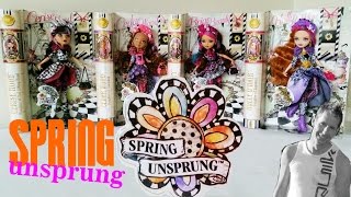 Spring Unsprung Cerise Hood Briar Beauty Ceda Wood amp Holly OHair  Ever After High [upl. by Reisch]