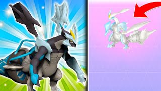 BLACK amp WHITE FORM KYUREM DROPPED EARLY IN POKEMON GO New GBL Encounter [upl. by Vyner]