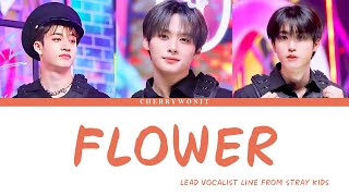 How would STRAY KIDS LEAD VOCALIST LINE sing FLOWER of JISOO FROM BLACKPINK  COLOR CODED  LYRICS [upl. by Eudo]