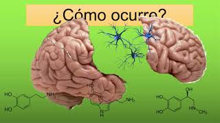 ¿Qué es la esquizofrenia ENTIENDELO DE UNA VEZ con indice [upl. by Asante]