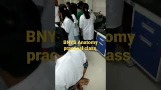 BNYS Anatomy practical class naturopathy yoga YNGMCH yoga shri Westbengal BNYS College Ayush [upl. by Brass]