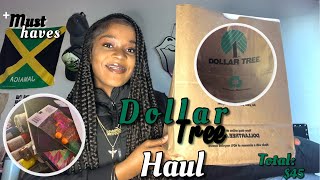 Dollar Tree Haul 2023 Dollar Tree Finds [upl. by Burck]