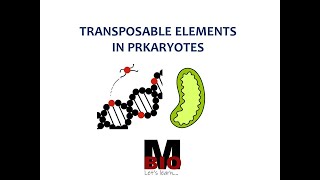 TRANSPOSABLE ELEMETS IN PROKARYOTES [upl. by Emile890]