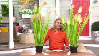 Compass Home Potted Decorative Faux Pampas Grass on QVC [upl. by Annadiane]