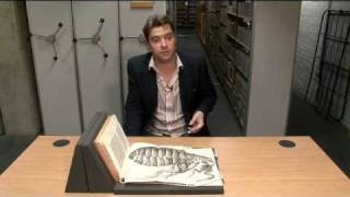 Treasures of the Bodleian Robert Hookes Micrographia [upl. by Giacinta579]