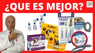 PIPETAS COLLARES O SPRAYS ANTIPULGAS Y GARRAPATAS 💔 PARA PERROS Y GATOS PROS y CONTRAS [upl. by Flint]