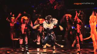 Cats  The Musical The Rum Tum Tugger [upl. by Ybok404]