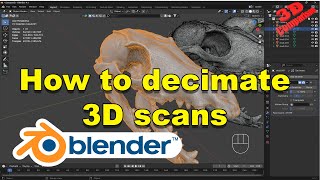 Blender How to Decimate 3D Scans To a Lowered Poly Count [upl. by Somisareg]