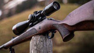 TOP 10 Best 22LR Rifles The Most Accurate 22 Rifles 2023 [upl. by Sirdna188]