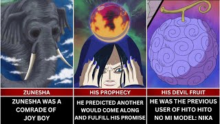 Facts You Should Know About JOY BOY  One Piece [upl. by Nnylyoj197]