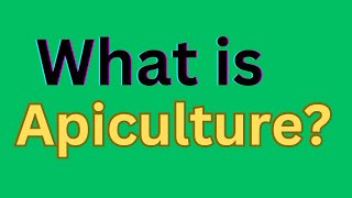 What is apiculture [upl. by Aldric]