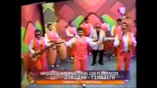 LOS FLAMENCOS  MIX [upl. by Meehan512]