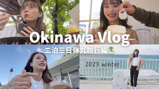 【沖縄Vlog】人生初の沖縄！年末弾丸旅行二泊三日🌴🌺 [upl. by Dot655]