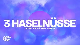 Jaques Raupé Felix Harrer  3 Haselnüsse Techno Version [upl. by Anitan]