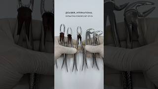 Premium Stainless Steel Dental Extraction Forceps for Dentists amp Dental Supply Stores [upl. by Alithea]