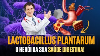 Lactobacillus plantarum O Herói da sua Saúde Digestiva [upl. by Lahcym]