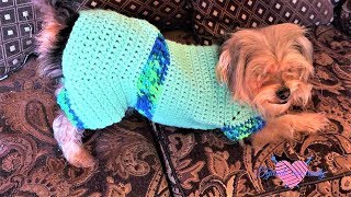 Traje o sueter para perrito y perrita Dog sweater [upl. by Assed]