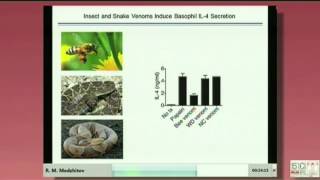 Inflammation and tissue homeostatis [upl. by Aixela]