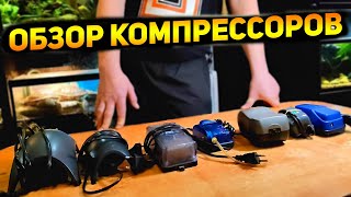 Бесшумный Тихий компрессор для аквариума и ремонтопригодность Обзор аквариумных компрессоров [upl. by Herzog]