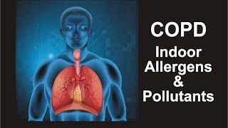 COPD  Indoor Allergens amp Pollutants [upl. by Adnam]