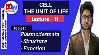 plasmodesmata Cell  The Unit of Life  Plasmodesmata  its structure amp function [upl. by Anilave955]