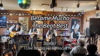 Besame MuchoThe Beatles cover by The Beat Best [upl. by Enrique]