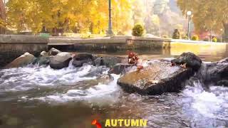 Drone Shots  Verinag Garden  Kashmir The Paradise On Earth  Autumn In Kashmir  Verinag [upl. by Ayota]