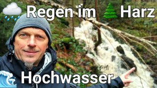 Hochwasser im Norden 🌧 Regen im 🌲 Harz  Die Pegelstände der Harzer Flüsse steigen  Okertalsperre [upl. by Nosretep]