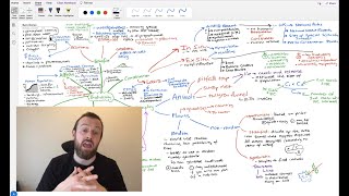 Biodiversity Mindmap OCR A Level Biology Module 42 [upl. by Yennaiv851]