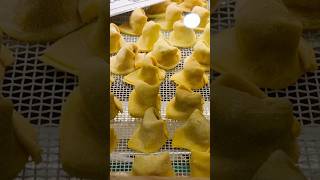 Tortellini 🇮🇹tortellini italia italianfood italiancuisine travel trip italiancooking [upl. by Duky]