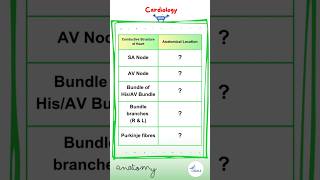 Heart Anatomy  Docrobytes Flashcards  USMLE Drone [upl. by Yanehc]