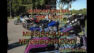 MISSISSAUGA NEIGHBORHOOD [upl. by Annyahs]