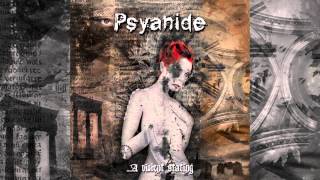 Psyanide  Decider [upl. by Macdonell]