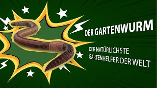 Gartenwürmer  ein hervorragender Bodenverbesserer [upl. by Elleval]