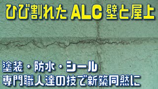 ひび割れたALC外壁と屋上が新築同然に 塗装・防水・シール専門職人の技術で復活 [upl. by Yurt]