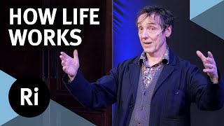 What is life and how does it work  with Philip Ball [upl. by Auroora]