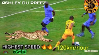 ASHELY DU PREEZ HIGHEST SPEED PLAYER 120km per Hour [upl. by Thinia]