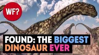 Largest Dinosaur EVER Discovered 😮  Bigger than Patagotitan Majorum [upl. by Veronique]