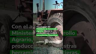 🐮 Créditos Agropecuarios en Convenio Ministerio de Desarrollo Agrario📲 httpsbitly474cDkM [upl. by Nyliak]