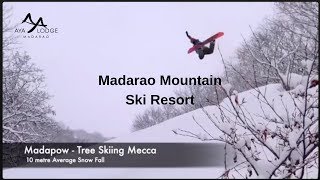 Madarao Mountain Ski Resort [upl. by Aztin]