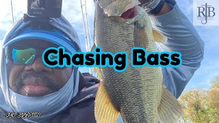 Chasing Bass Ep293 Mattawoman Creek [upl. by Kiyoshi]