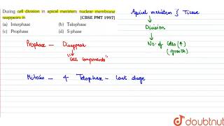 During cell division in apical meristem nuclear membrane reappears in [upl. by Chavey]