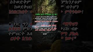 መሄጃህ ከፊት መማሪያህ ኋላ ነውmotivation inspirationalquotes motivationalquotes mindset youtubeshortsfyp [upl. by Laius]